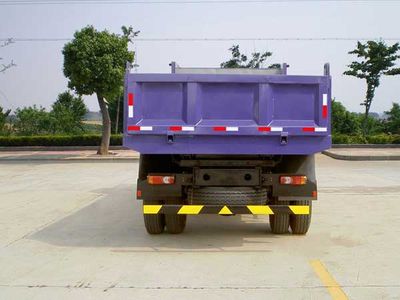 Yanlong  YL3160G1 Dump truck