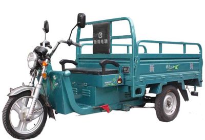 New Pigeon  XG3000DZH Electric tricycle