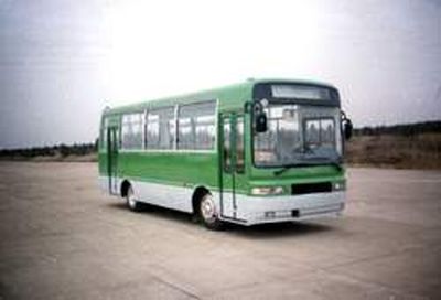 Heke  HK6810E City buses