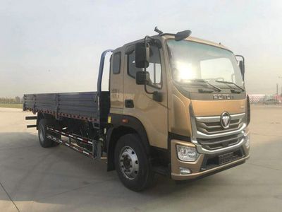 Foton  BJ1188VKPFKAD1 Truck