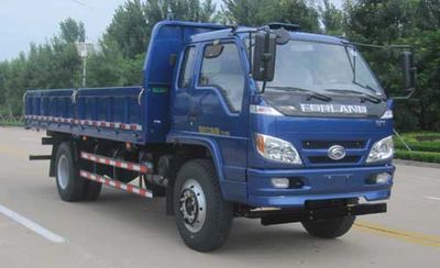 Foton  BJ3095DDPFG1 Dump truck