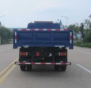 Foton  BJ3095DDPFG1 Dump truck