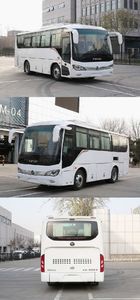 Foton  BJ6816U6AFB1 coach