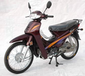 Huansong  HS1102 Two wheeled motorcycles