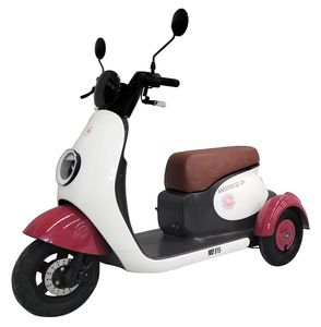 Emma  AM500DQZ2N Electric three wheeled light motorcycle