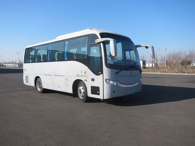 Huanghai  DD6807C10 coach