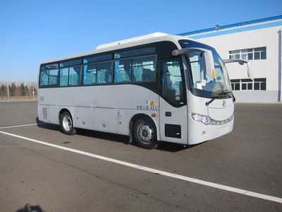 Huanghai  DD6807C10 coach