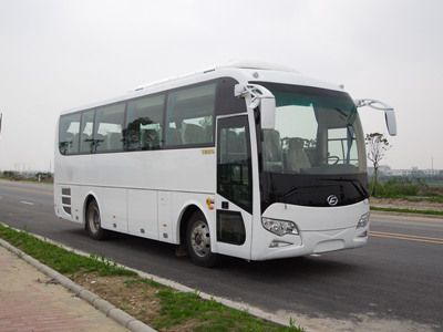 Feichi FSQ6891DCcoach