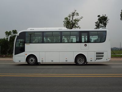 Feichi  FSQ6891DC coach