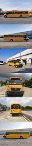 Foton  BJ6116S8LFB1 School buses exclusively for primary and secondary school students