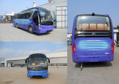 Yaxing  YBL6101H1CP coach