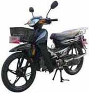 Lifan  LF1005T Two wheeled motorcycles