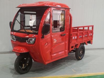 Qianjian  QJ1500DZH2A Electric tricycle