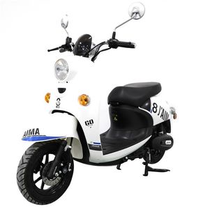 Emma AM500DQT5SElectric two wheeled light motorcycle