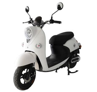 Emma  AM500DQT5S Electric two wheeled light motorcycle