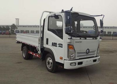 Ace car CDW1041HA1P4 Truck