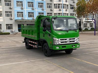 Foton  BJ3096DEPEAFA Dump truck