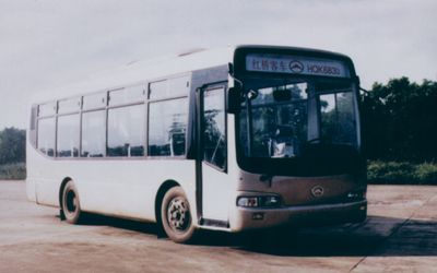 Hongqiao  HQK6831D coach