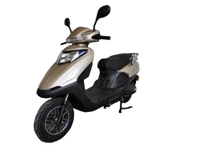 Dayang DY1200DQTElectric two wheeled light motorcycle