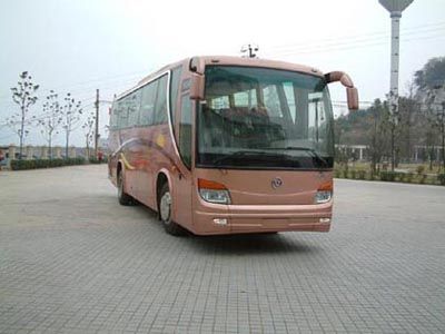 Wanda  WD6960HC1 coach