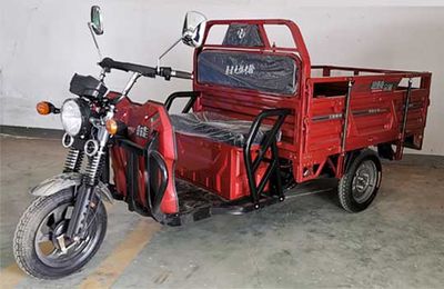 Zongneng  ZN1200DZH2A Electric tricycle