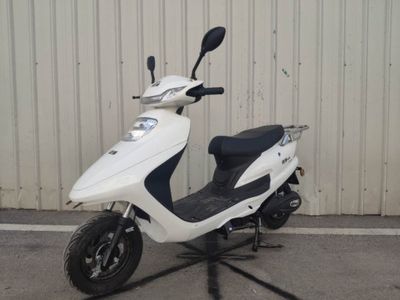 Longshi  LS800DQT5 Electric two wheeled light motorcycle