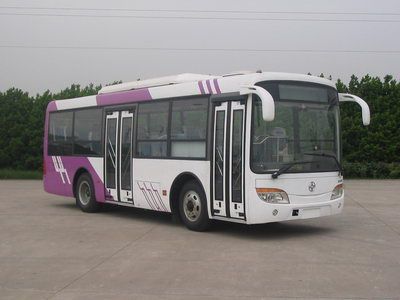 Yaxing  JS6810GHA City buses