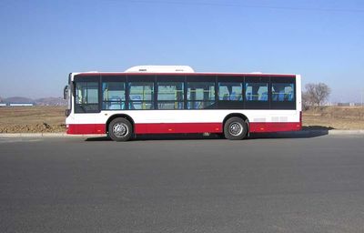 CSR Times TEG6109GJ City buses