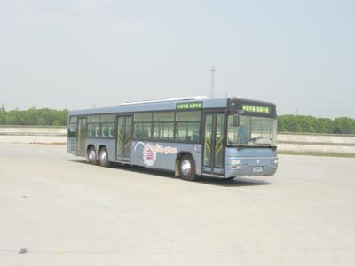 Yutong ZK6139HGCity buses