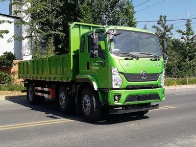 Shaanxi AutomobileSX3245BP5389Dump truck