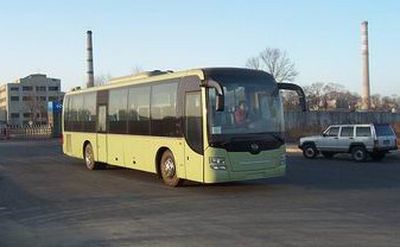 Huanghai  DD6129K80 coach