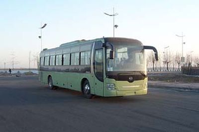 Huanghai  DD6129K80 coach