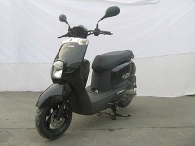 Fengguang  FK100T5D Two wheeled motorcycles