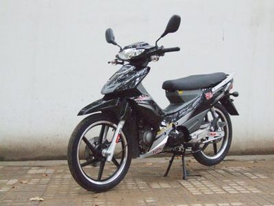 Dayang  DY12552A Two wheeled motorcycles