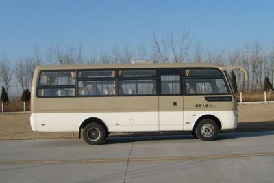 Hagrid KLQ6729E40A coach