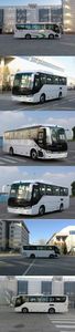 Foton  BJ6906U7AHB1 coach