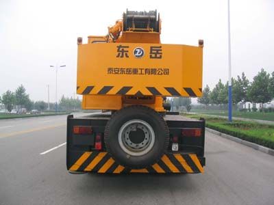 Dongyue  TA5256JQZQY20E Car crane