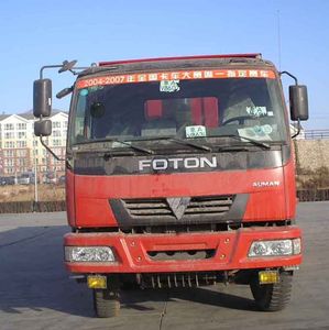 Foton  BJ3311DNPJFS Dump truck