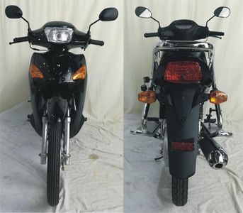 Lexi  LS1102D Two wheeled motorcycles