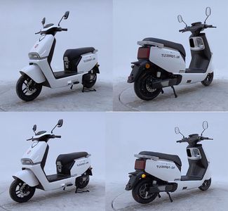 Tailing  TL1200DT24F Electric two wheeled motorcycle