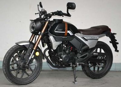 Honghonglie  HL1503B Two wheeled motorcycles