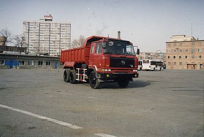 Da Zhuang  DLZ3261 Dump truck