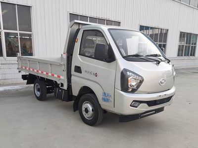 Shifeng  SSF3036DCPB2Z Dump truck