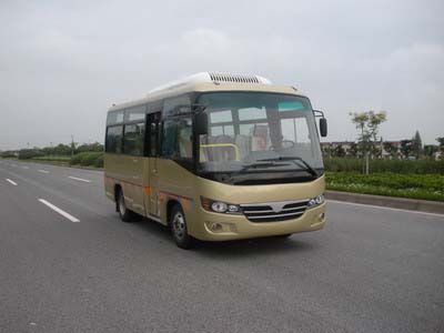 Friendship  ZGT6608DG1 coach