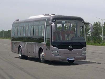 Huanghai  DD6109K60 coach