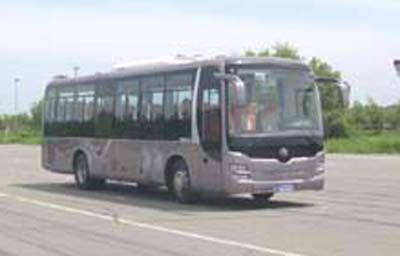 Huanghai  DD6109K60 coach