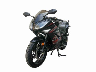 Shanyang  SY200H Two wheeled motorcycles