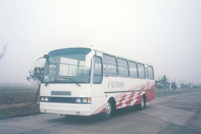 Feiyan  SDL6980ZAAB coach