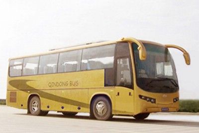 Qindong  SQZ6921 coach