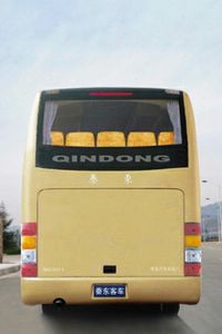 Qindong  SQZ6921 coach